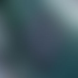 SAFDS // SESSIONS VOLUME #1 // PORSCHE 09.09.23