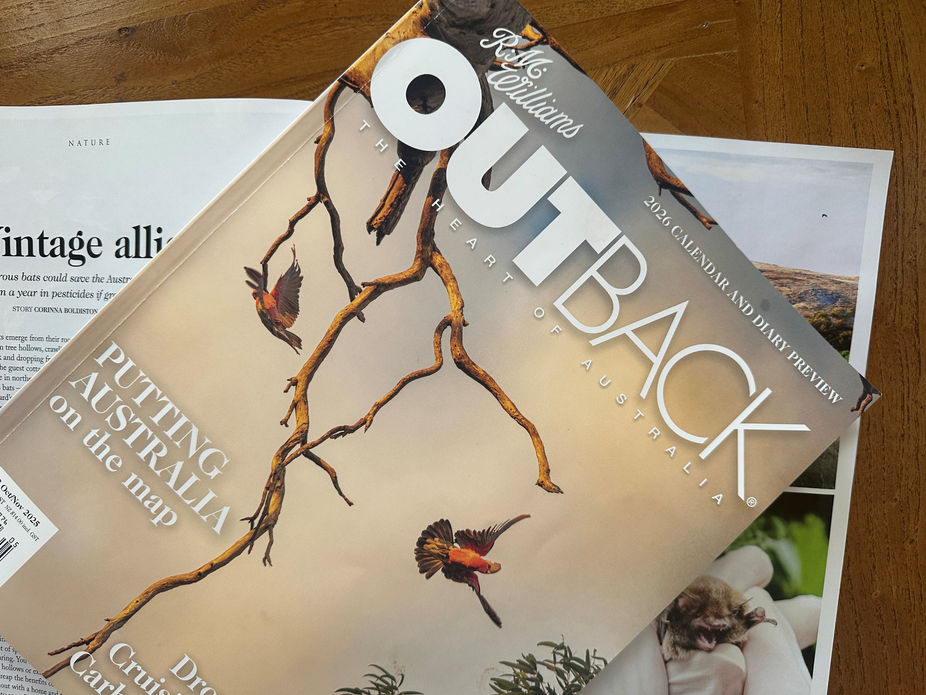Bats and wine feature in OUTBACK magazine