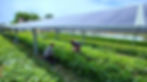 Solar Farms (1707999635072)