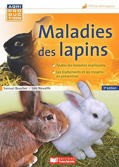 maladies des lapins.jpg
