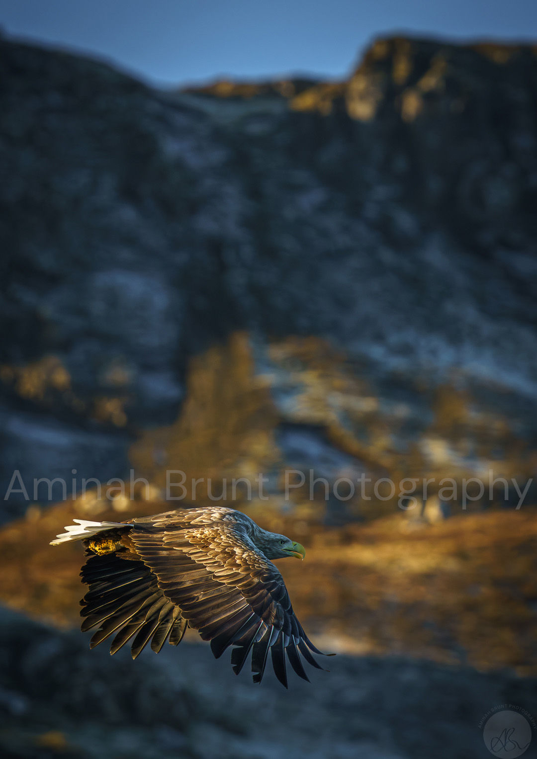 Commander of the Skye, Isle of Skye