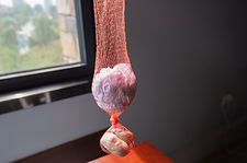 DSC_2843.jpg