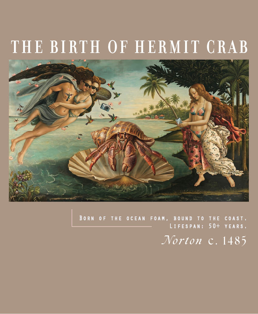 Thumbnail: Hermit Crab Graphic Tee:  "The Birth of the Hermit Crab"