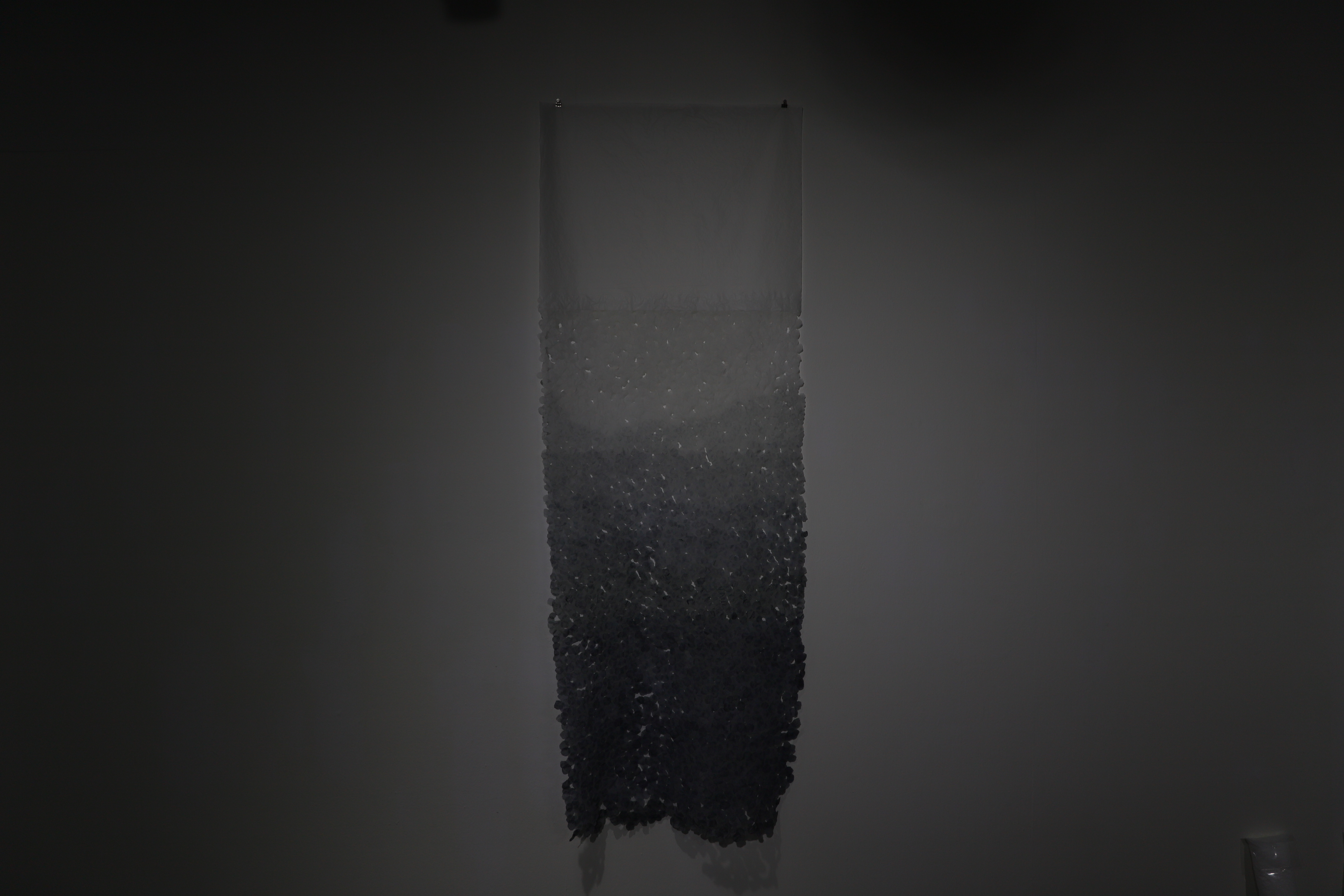蒸發 (2019)
