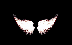 Wing_07
