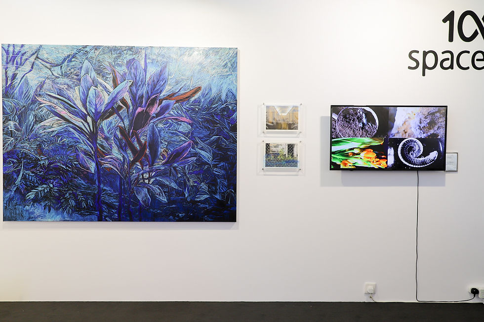 1a space at Art Fair 2021