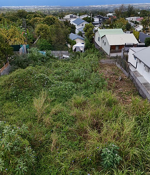 dji_fly_20251003_101346_0166_1759480135128_photo copie.jpg