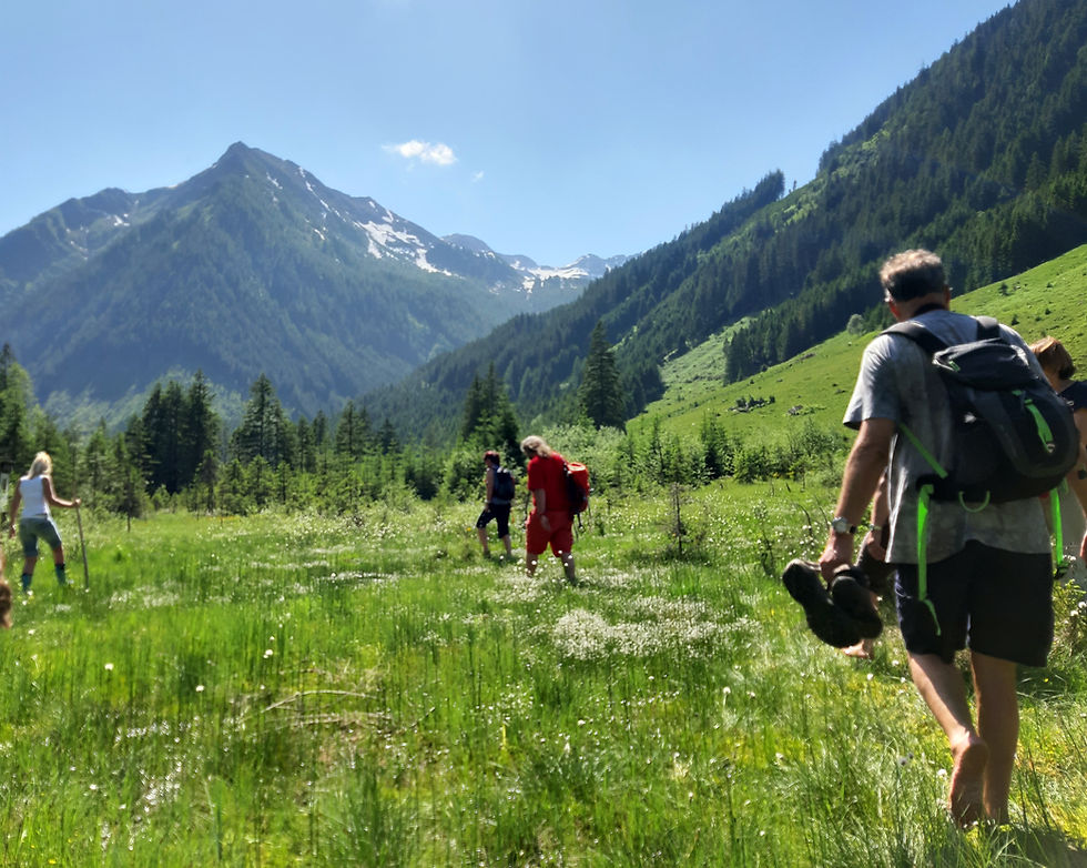 Wanderung durch das Moor