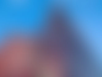 Á ríkið að keppa við einkaaðila á markaði fyrir innkaupaþjónustu?