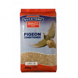 bucktons pigeon