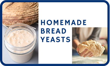 Survival food, Home Bread Yeasts