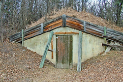 Underground root cellar - Root cellaring