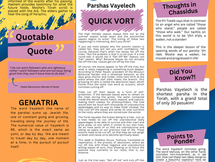 A colorful bilingual (English and Hebrew) Torah study flyer titled "Parsha Overview" for Parshat Vayeilech, featuring yellow and orange backgrounds with flame motifs symbolizing Torah sparks. It includes sections on Parsha Overview (Moshe appoints Yehoshua as successor), Torah Sparks (summer inspiration), Quick Vort (holiday season reflections on confidence and trees), Quotable Quote by Rabbi Menachem Mendel of Kotzk, Gemtria (word analysis of Vayeilech), Parsha Stats (53 pesukim, 2 mitzvot), Thoughts in Chassidus (on walking vs. standing in life), Did You Know? (shortest parsha with 30 pesukim), Points to Ponder (on teshuva and growth), and images of Rabbi Ori Strum. QR codes link to Torah Anytime classes and WhatsApp groups. Overall design promotes Jewish learning and community.