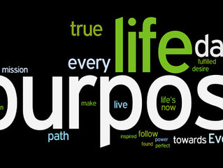 What education means to me and the purpose of life?
