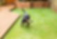 Screenshot 2024-07-01 alle 20.36.37.png