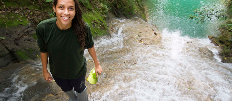 Todo esforço será recompensado