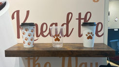 Cups.jpeg