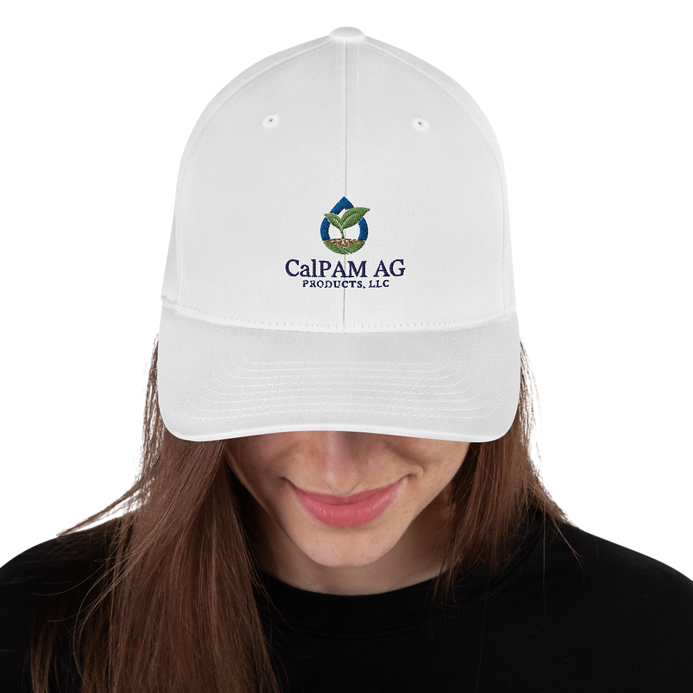 Thumbnail: CalPam Embroidered Structured Twill Cap