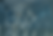 MF-About-Header.png