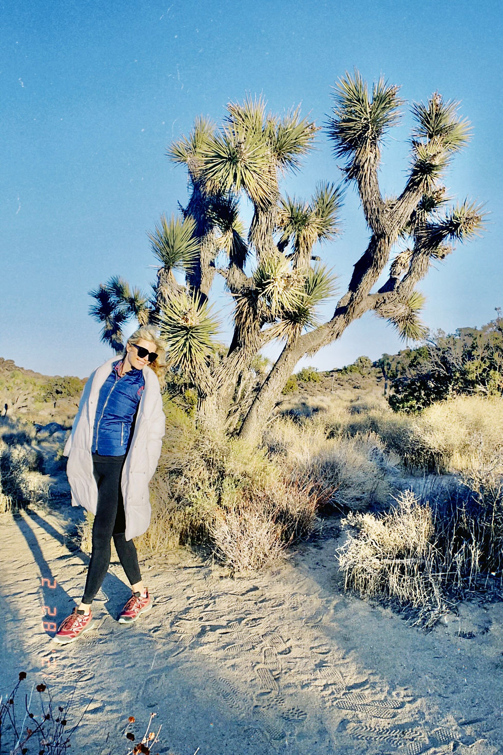 woman hiking in joshua tree national park in winter