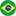 Brazilian Flag