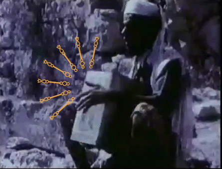 גיפ4.gif