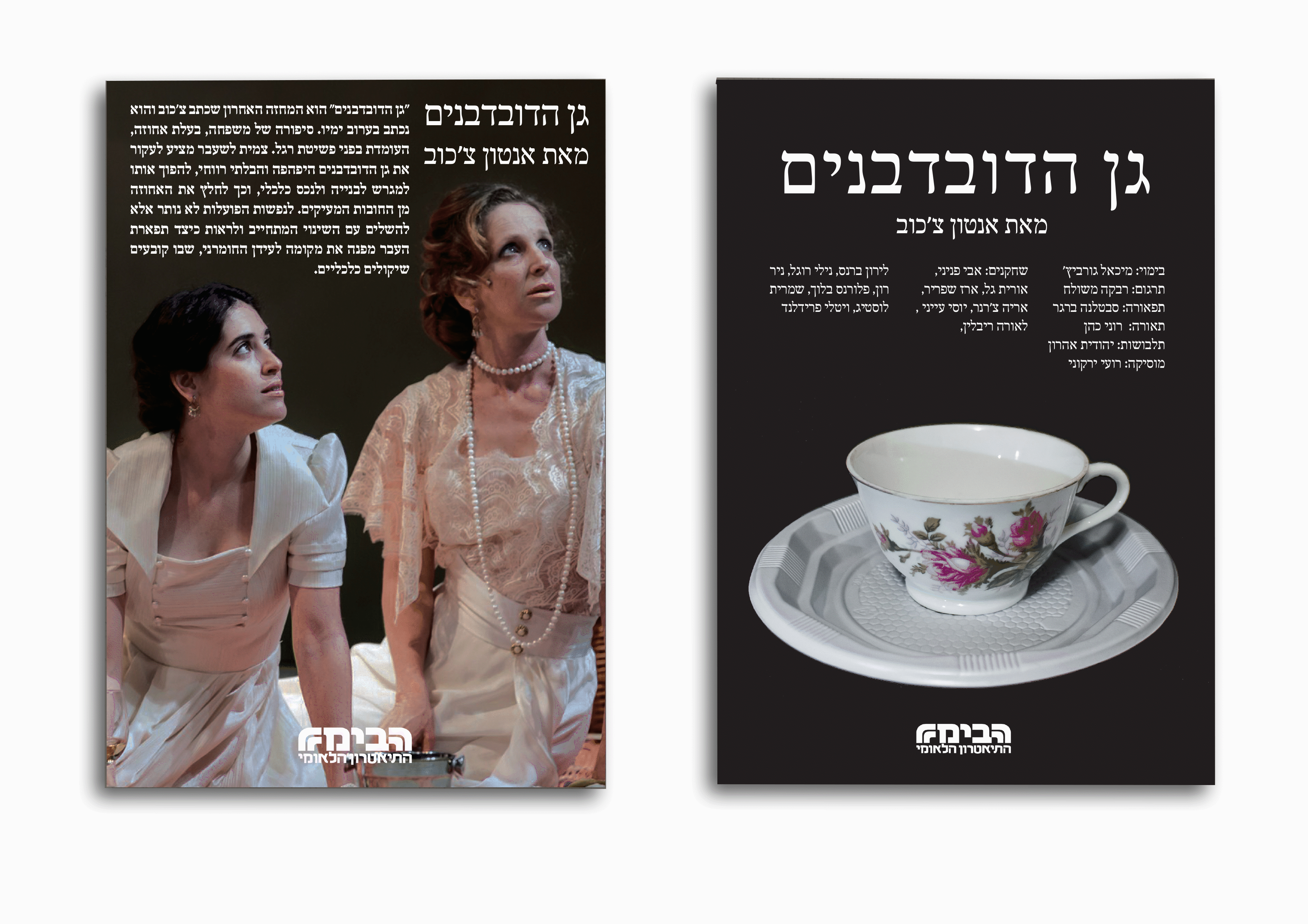 הכנה לגיף פלייאר.gif