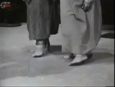גיפ1.gif