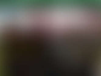 SULLANA TRANSP TOURS