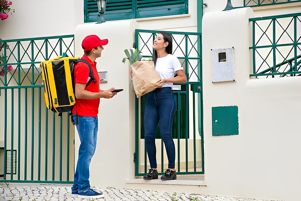 Personal courier 1