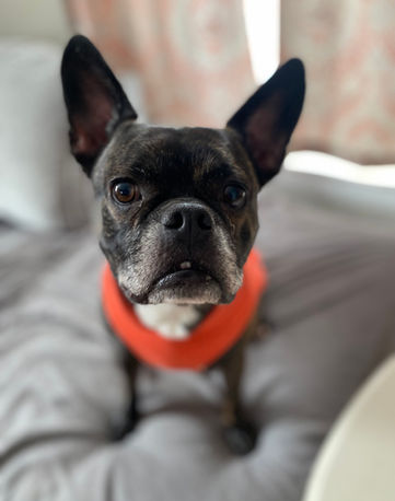 Gio