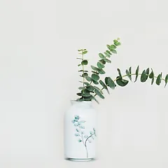 Handmade Decorative Ceramic Vases Pots Ohleaf Singapore
