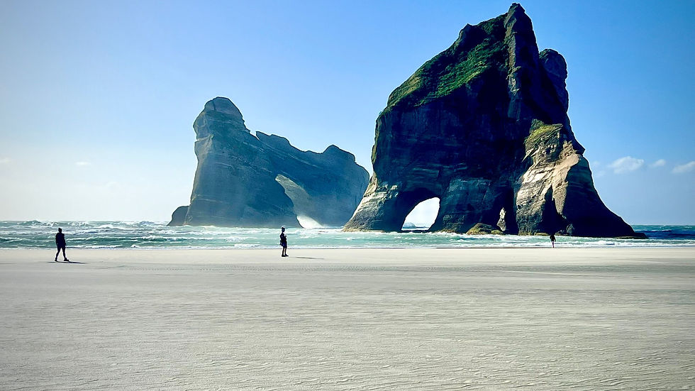 WhatsApp Image-41 2026-02-20 at 22.49.14.jpeg