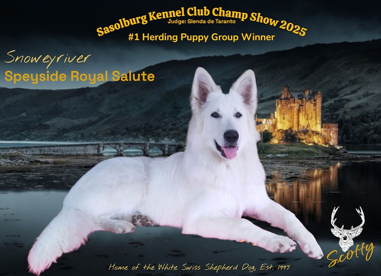 Scotty Sasolburg HomeofthewhiteswissFB advert Screenshot 2025-09-28 151619.jpg