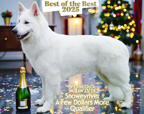 Smokey BOTB Qualifier2025for FBdownsize.JPG