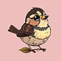 cute-sparrow-cartoon-style-vector_edited.jpg