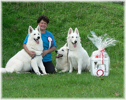 China%20xmas%20greetwixfinal.jpg