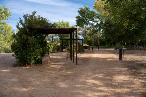 bachechi-open-space-dsc_0454