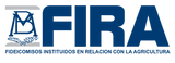 FIRA