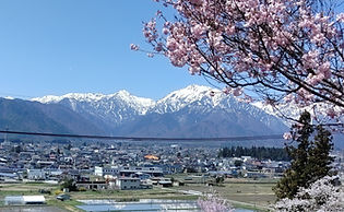IMG_20220417_111859.jpg