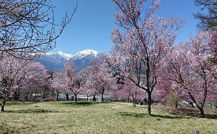 IMG_20220417_112156.jpg