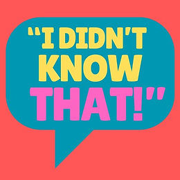 i didn’t (1).jpg