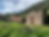 Traditional stones cottages along a countryside walking trail near Bosa, surrounded by green fields and rolling hills.
