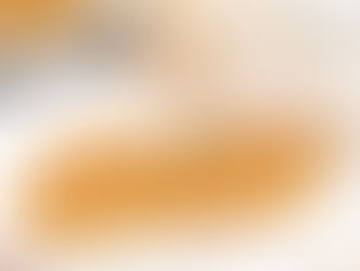 Crustless Pumpkin Pie