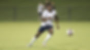 Spotlight on Deerfield Alums in the NCAA This Fall