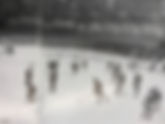 Administration Plans Rink Renovation