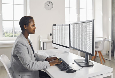 Working with Spreadsheets_edited.jpg
