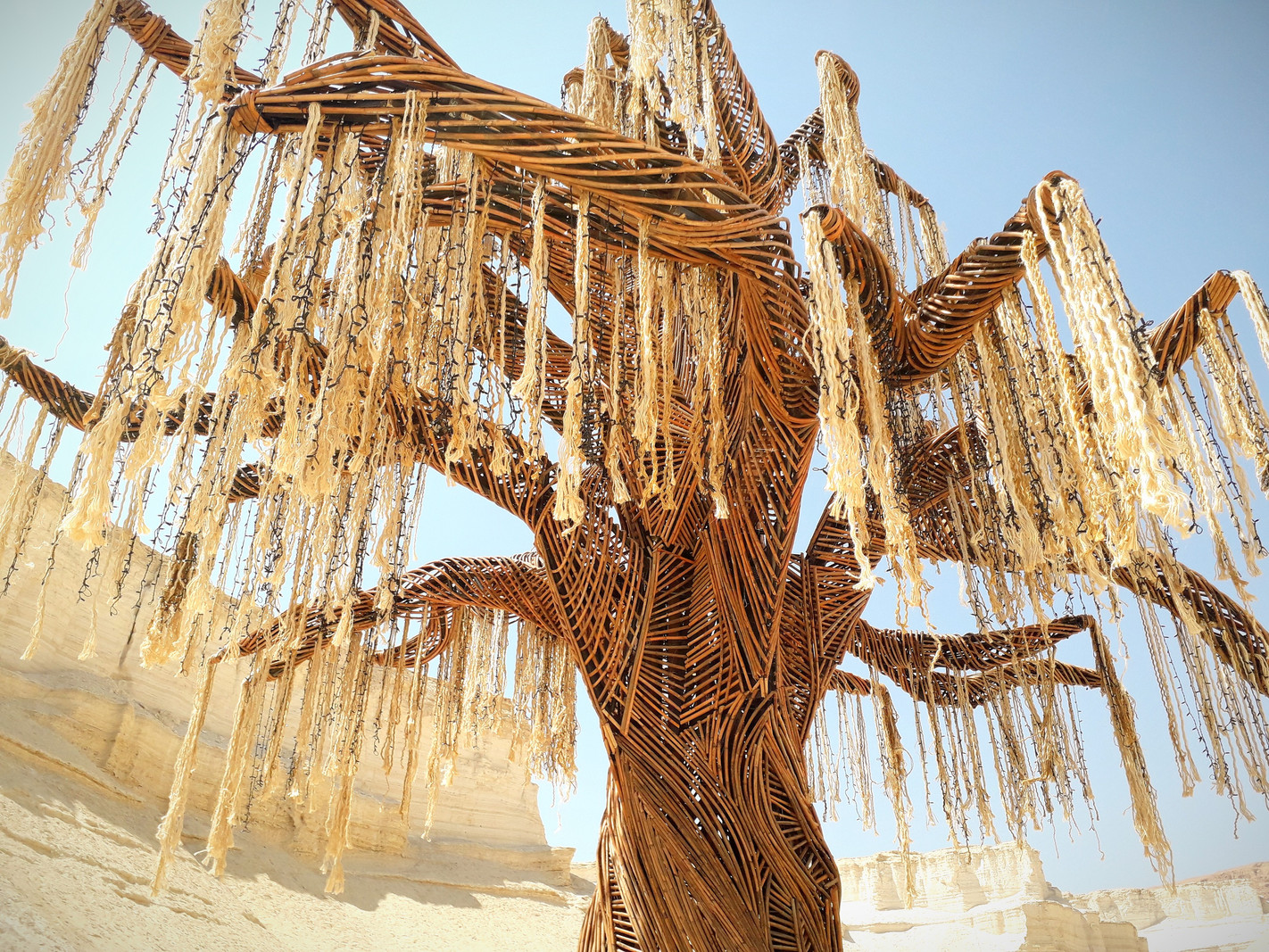 Tree of Life