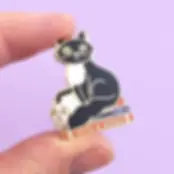 Jubly-Umph Cats and Books Enamel Pin 