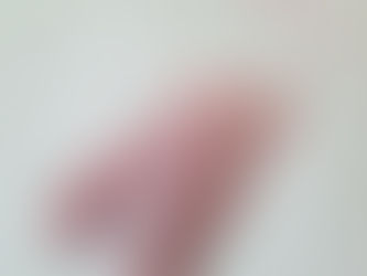 淮山芡實祛濕豬展湯